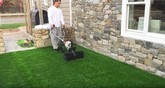 GardenMark Artificial Grass