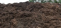 6934mulchPilerecSm72